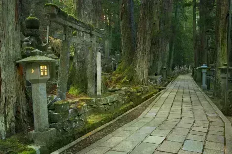 A path through the Okunoin ancient Buddhist cemetery in Koyasan