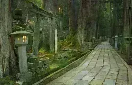 A path through the Okunoin ancient Buddhist cemetery in Koyasan
