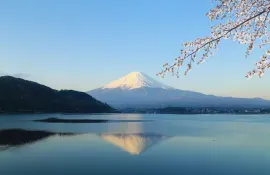 Mount Fuji during cherry blossom (Sakura)