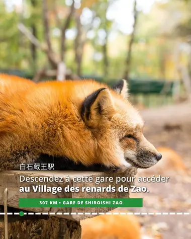 Descendez à la gare de Shiroishi Zao pour accéder au Village des renards de Zao