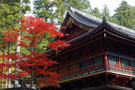 Sanbutsudo at Rinno-ji Temple