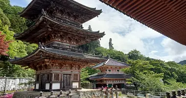 Le temple Tsubosaka-dera